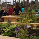 Community Garden Design - Grand Opening