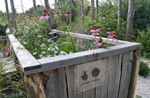 Lottery Funded Community Allotment