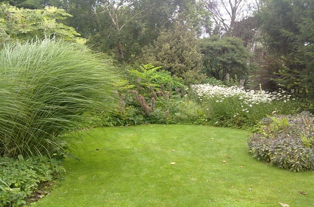 Garden Visit - hidden lawn