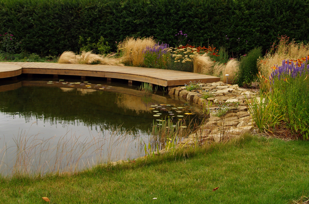 Garden Design- pond with prairie style planting